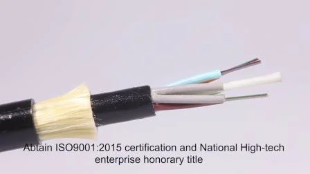 Antenne extérieure 24/36/48 cœur monomode réseau autoportant diélectrique à grande portée ADSS fibre optique/câble de communication optique