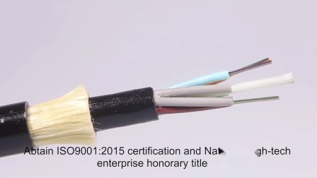 Intérieur/extérieur 1 2 4 noyaux G657A1/A2 GJYXFCH FRP/fil d'acier monomode FTTH Drop câble optique/fibre optique plat